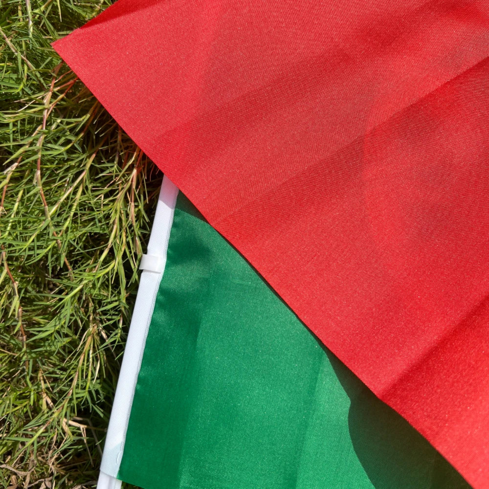 Portugal Flag - Premium Car Flag Set