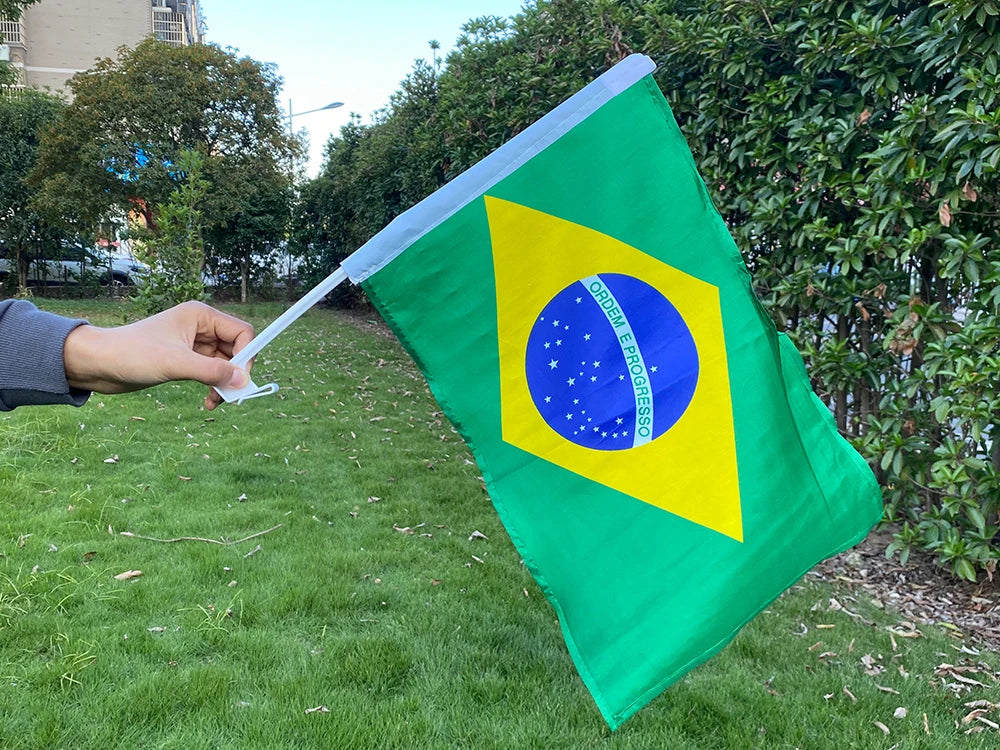 Brazil Car Flag 35x45cm