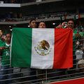 Mexico National Flag - Premium Polyester 3x5ft (90x150cm)