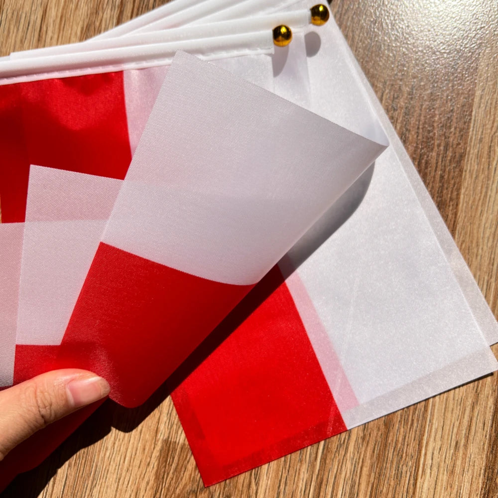 European Flags Hand Waving Set - Multi-Country Pack (10 PCS) 14x21cm