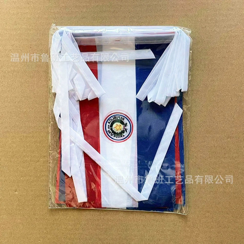 Paraguay Bunting String Flags - 20-Flag Banner (14x21cm)