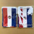 Paraguay Bunting String Flags - 20-Flag Banner (14x21cm)