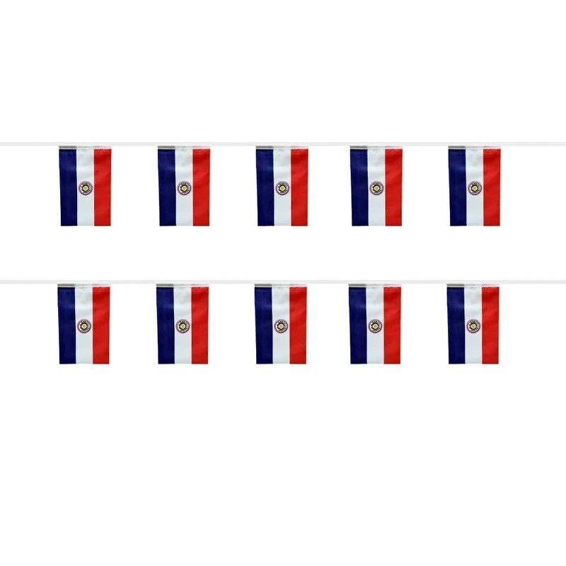 Paraguay Bunting String Flags - 20-Flag Banner (14x21cm)