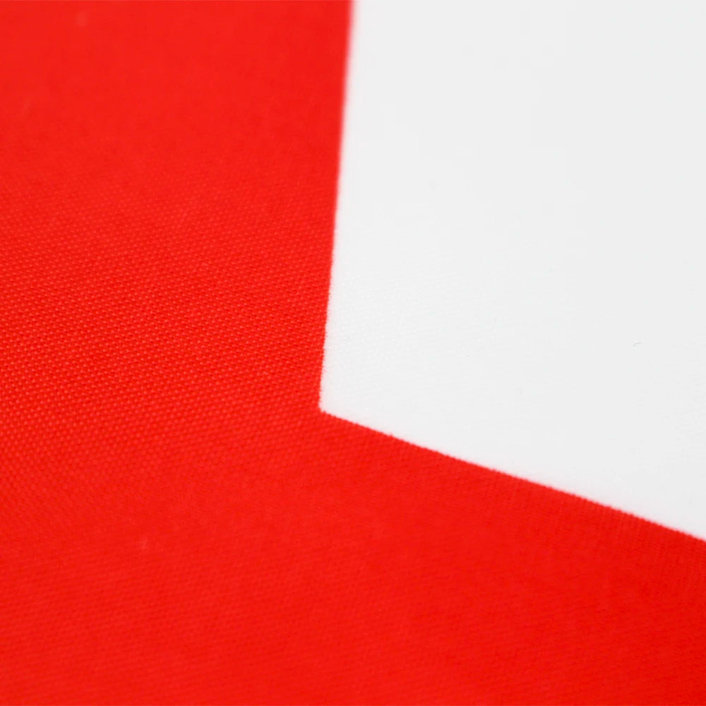 Algeria National Flag 90x150cm Polyester for Parades/Office/Outdoor Decor - Fade-Proof, Vibrant Colors, Reinforced Stitching